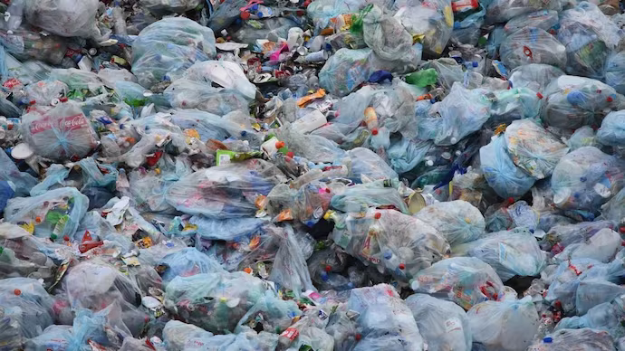 How we can conquer plastic? Why recycling plastic is not a real solution?